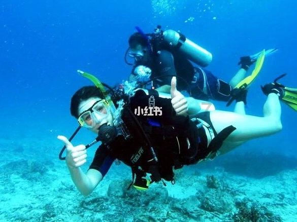 脑洞小老弟无实名认证