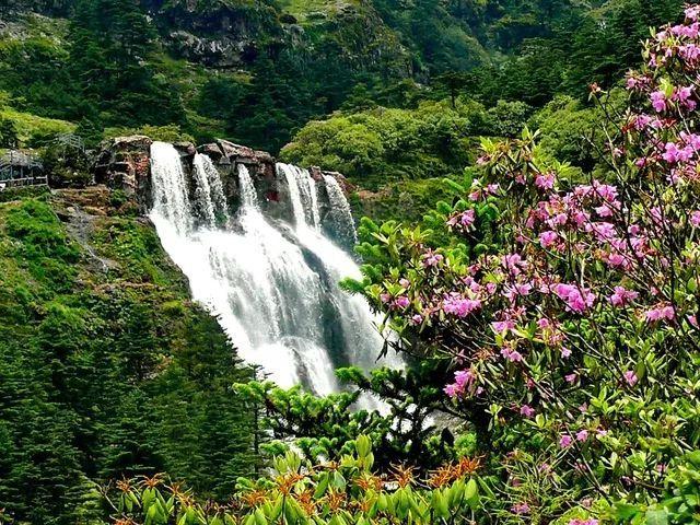 逃离绿色山谷