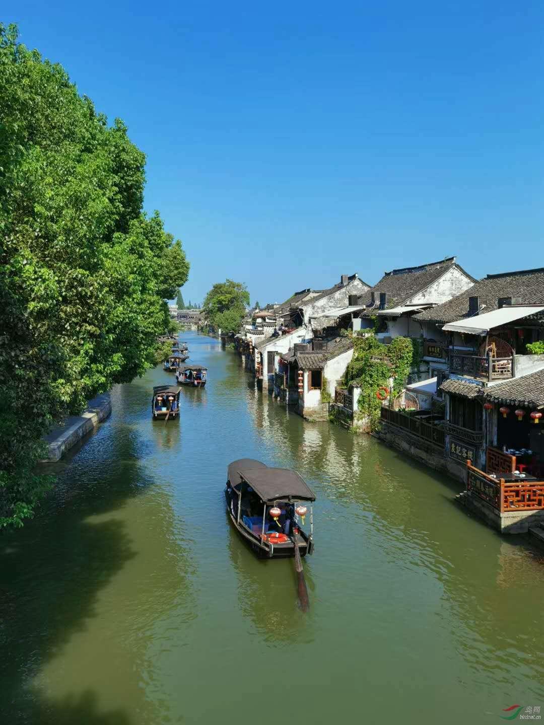 冠军射击手