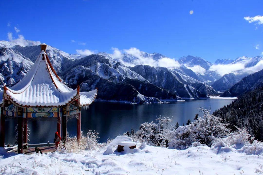 新黄金矿工